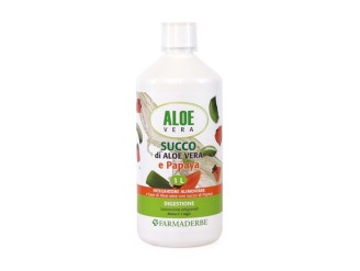 Jugo de Aloe Vera y Papaya