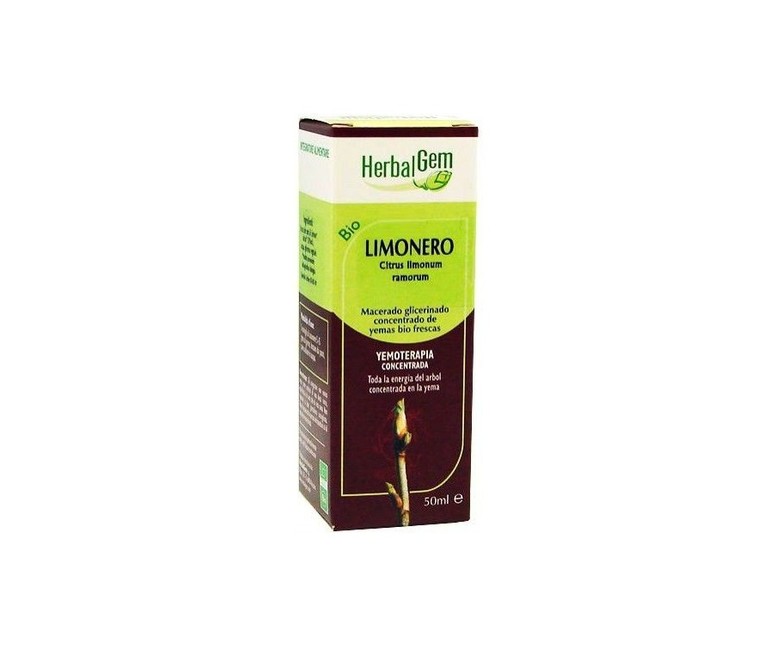 Limónero macerado glicerinado 50 ml Herbalgem