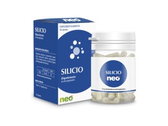 Silicio