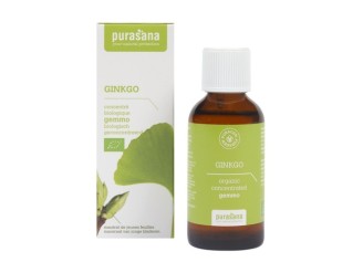 Ginkgo