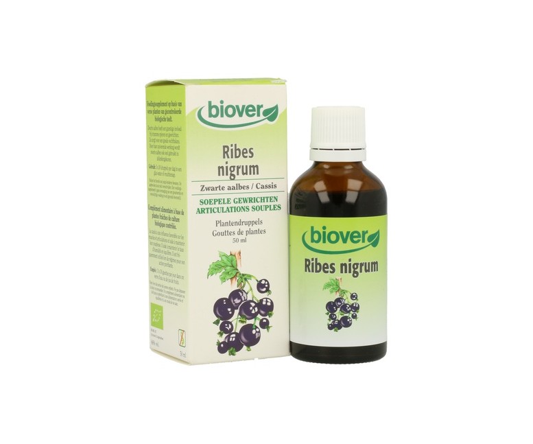 Ribes Nigrum (Grosellero Negro) 50 ml Biover
