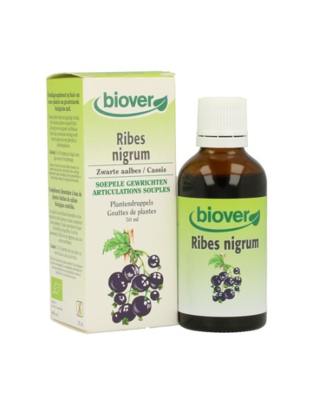 Ribes Nigrum (Grosellero Negro) 50 ml Biover
