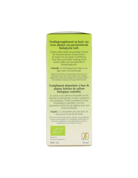 Ribes Nigrum (Grosellero Negro) 50 ml Biover