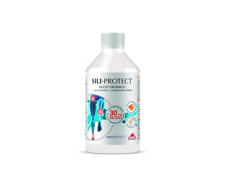 Sili-Protect 500 ml Intersa