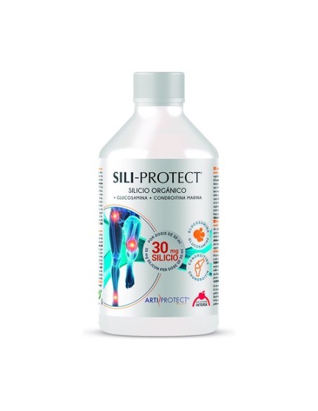 Sili-Protect 500 ml Intersa
