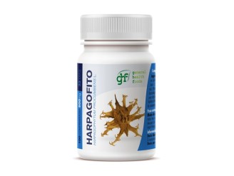 Harpagofito