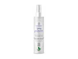 Spray purificante hidroalcohólico Bio