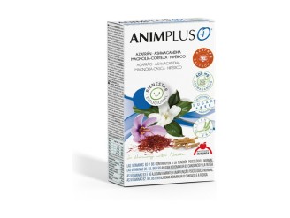 Animplus