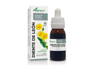 Extracto natural de diente de león