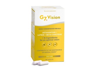 G7 Vision