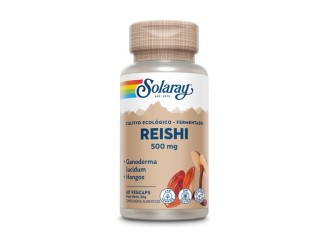 Fermented Reishi