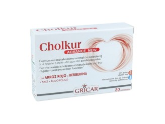 Cholkur advance new