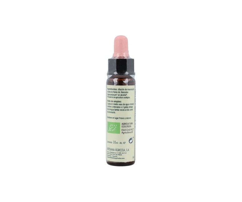 White chestnut flores de bach nº 35 10 ml Plantis