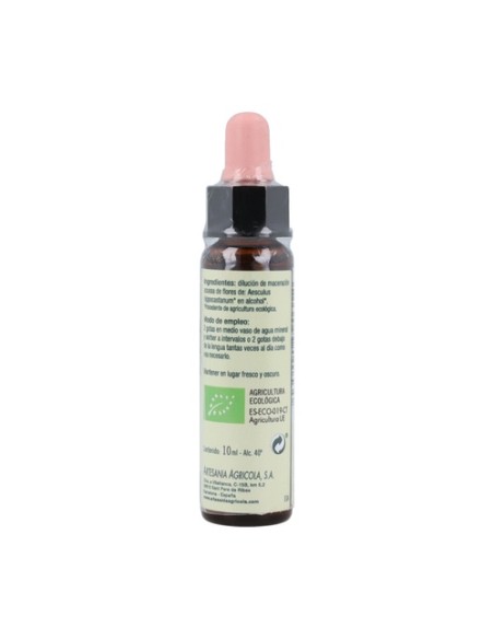 White chestnut flores de bach nº 35 10 ml Plantis