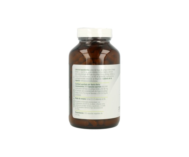 Ginkgo Biloba Plus 250 cápsulas (510mg) El Granero Integral