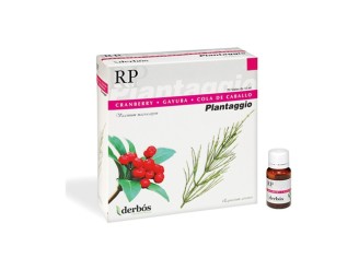 Plantaggio Rp
