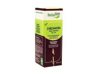 Zarzamora