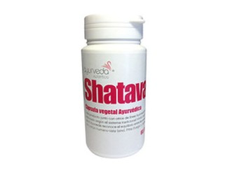 Shatavari