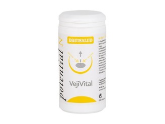 Vejivital