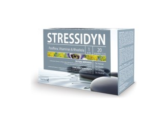 Stressidyn