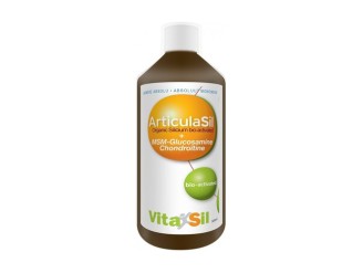 Vitasil Articulasil Msm