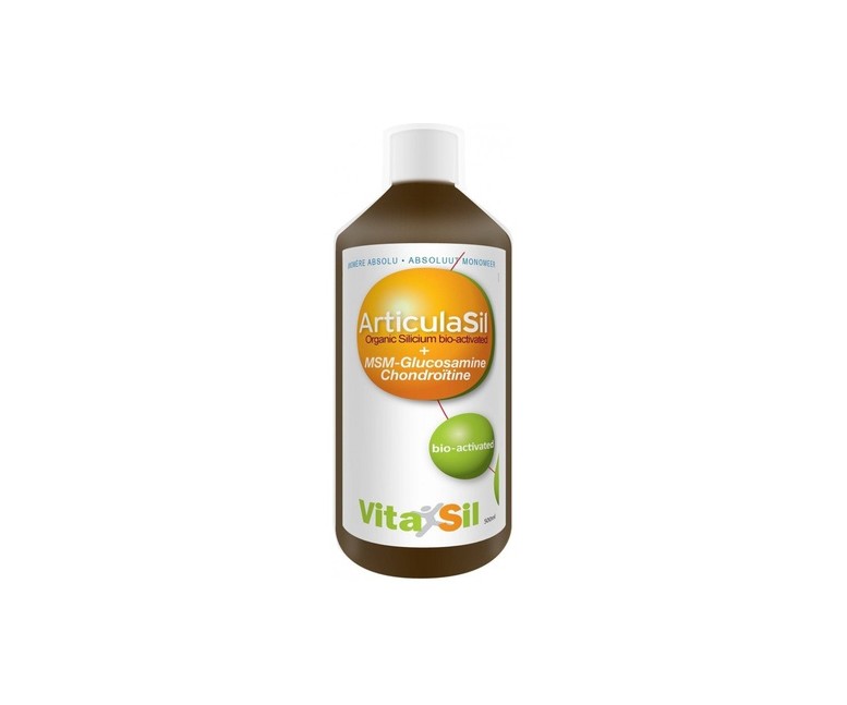 Vitasil Articulasil Msm 500 ml Vitasil