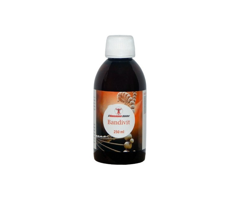 Jarabe Bandivit 250 ml Hausmann