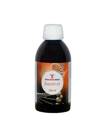 Jarabe Bandivit 250 ml Hausmann