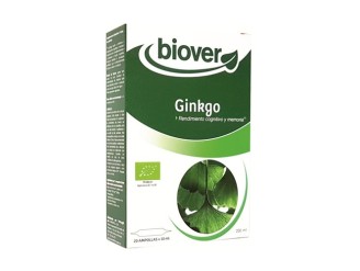 Ginkgo extracto de ginkgo biloba