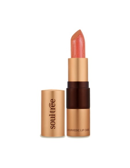 Barra Labial Cantaloupe 1 unidad (Naranja) Soultree