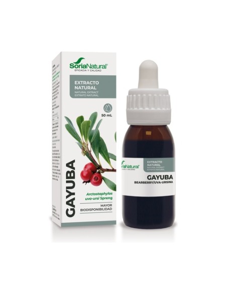 Extracto de Gayuba (Fórmula XXI) 50 ml Soria Natural