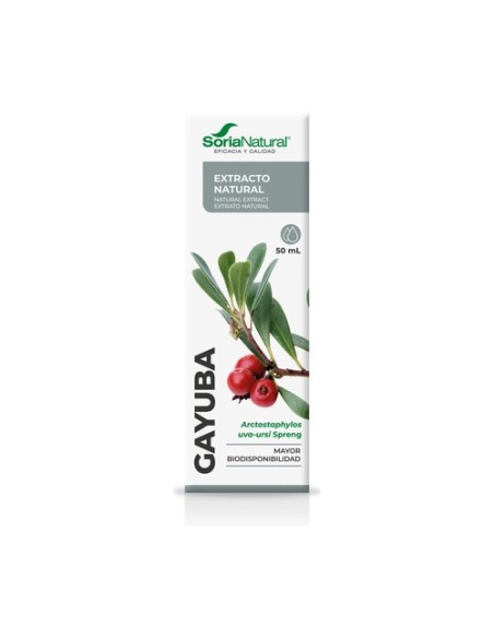 Extracto de Gayuba (Fórmula XXI) 50 ml Soria Natural
