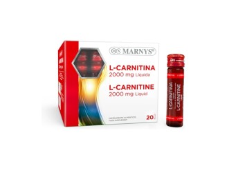 L-Carnitina
