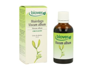 Muérdago (Viscum Album)