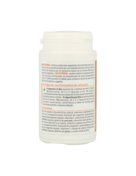 Ergysterol colesterol 100 cápsulas Nutergia