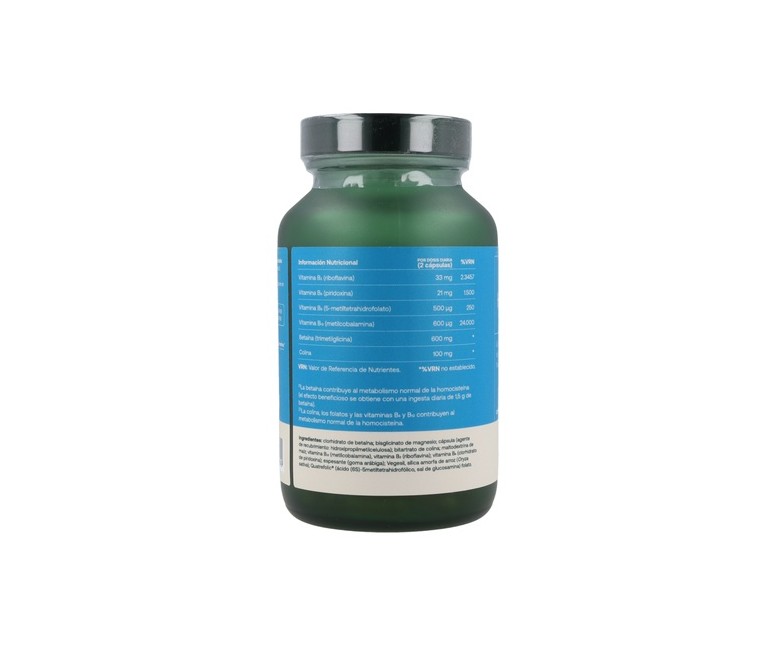 Active homocystrol + TMG 60 cápsulas de 850mg Salengei