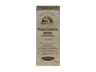 Rosa canina