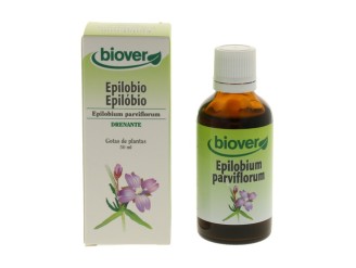 Epilobium parviflorum (epilobio)