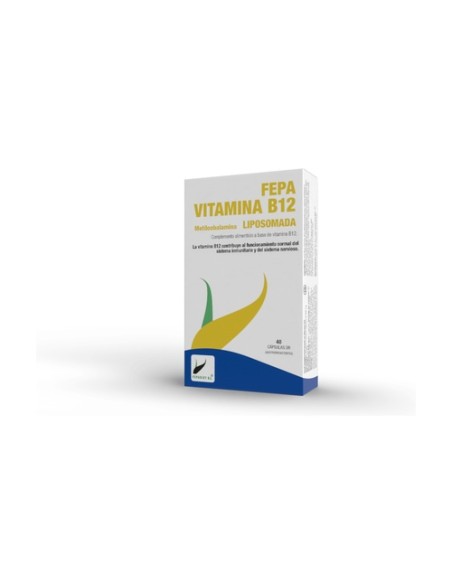 Fepa-vitamina b12 liposomada 40 cápsulas Fepa