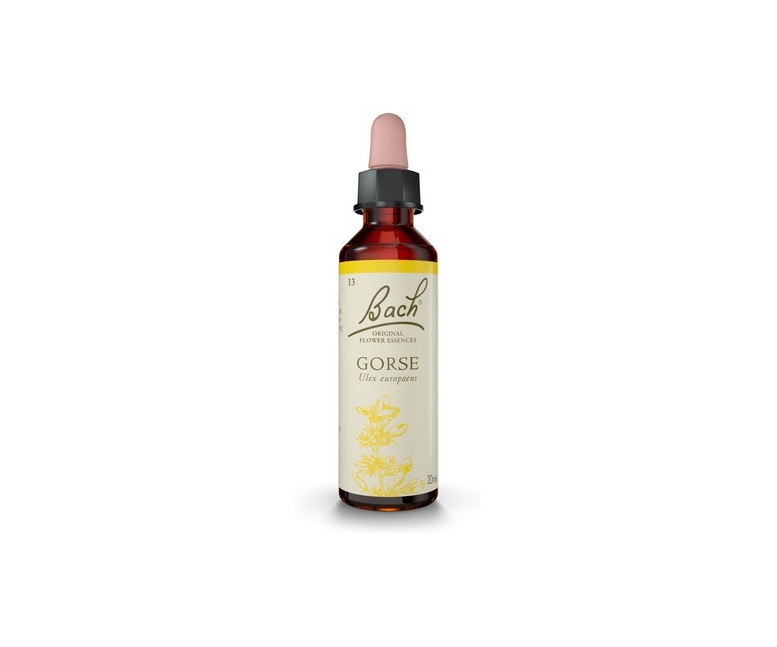 Flores de Bach Gorse 20 ml de elixir floral Bach Original
