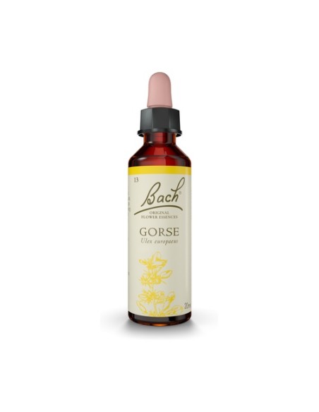 Flores de Bach Gorse 20 ml de elixir floral Bach Original