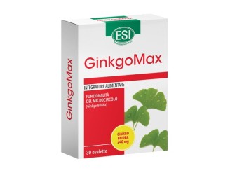 Ginkgo max