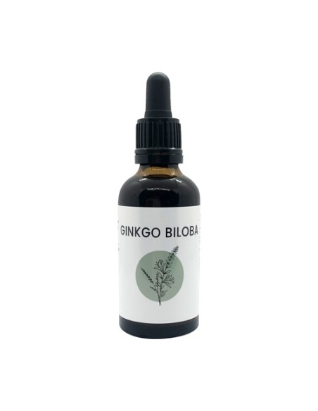 Extracto ginkgo biloba 50 ml Naturlife