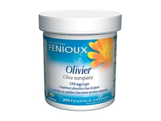 Olivo