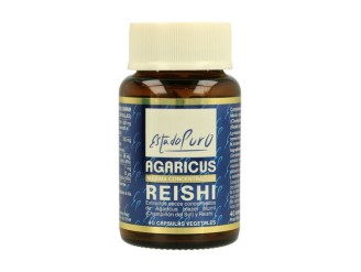 Agaricus reishi