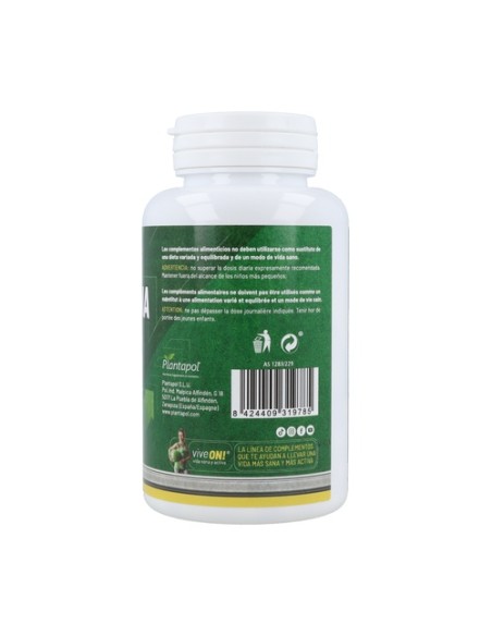 Gluta Int 750 90 cápsulas Plantapol
