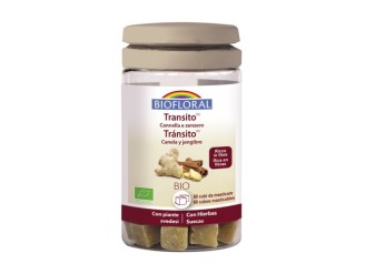 Cubos masticables tránsito Bio