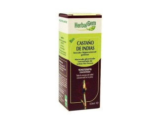 Castaño De Indias Macerado Glicerinado