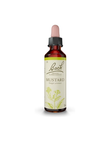 Flores de Bach Mustard 20 ml de elixir floral Bach Original