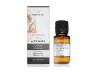 Carvi Alcaravea Aceite Esencial Alimentario